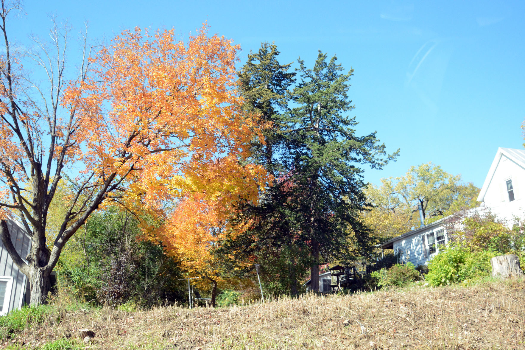 Baraboo area fall color, Oct. 8, 2020
